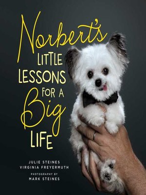 cover image of Norbert's Little Lessons for a Big Life